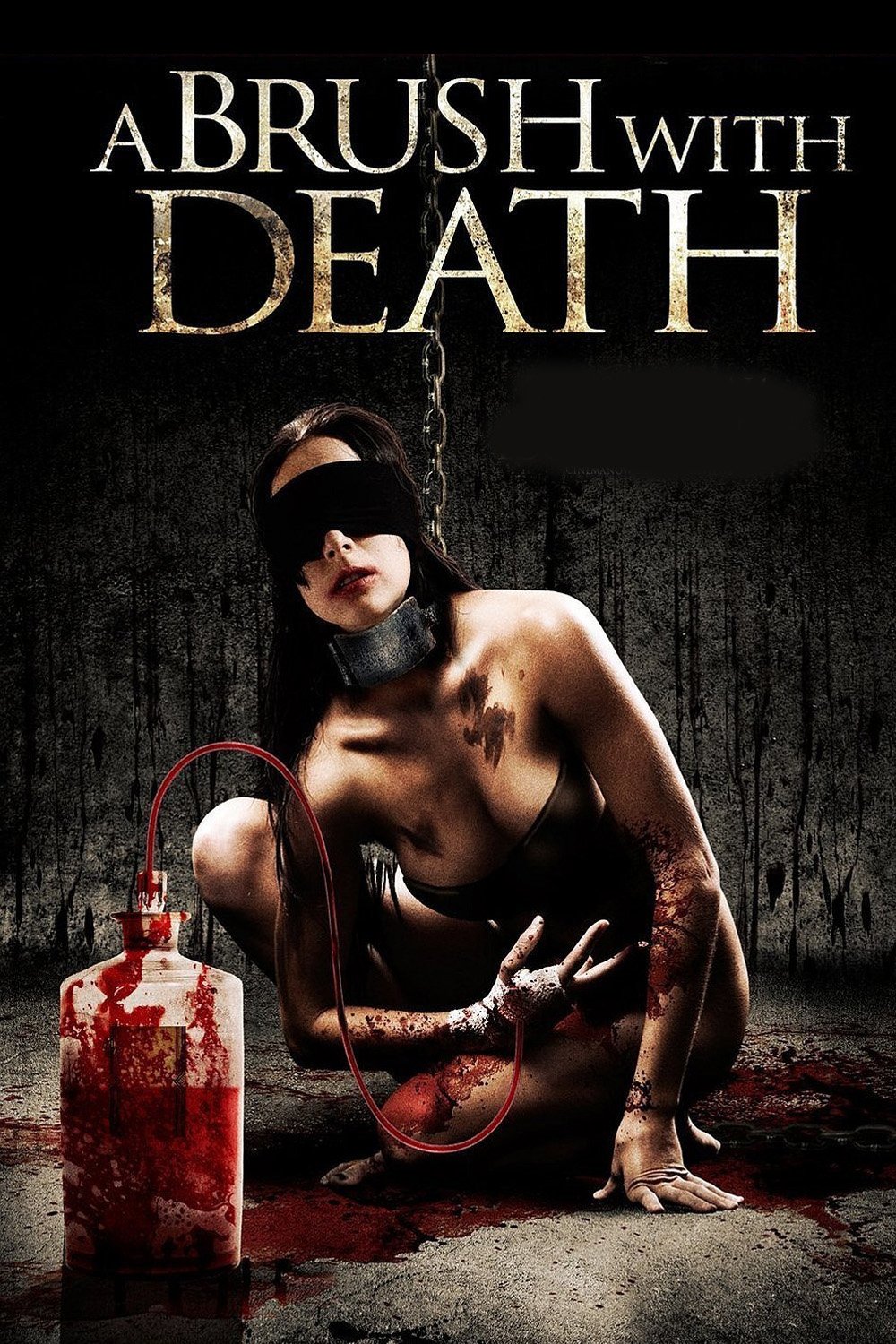 A Brush With Death poster