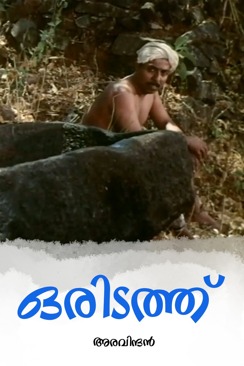 And There Was a Village... poster