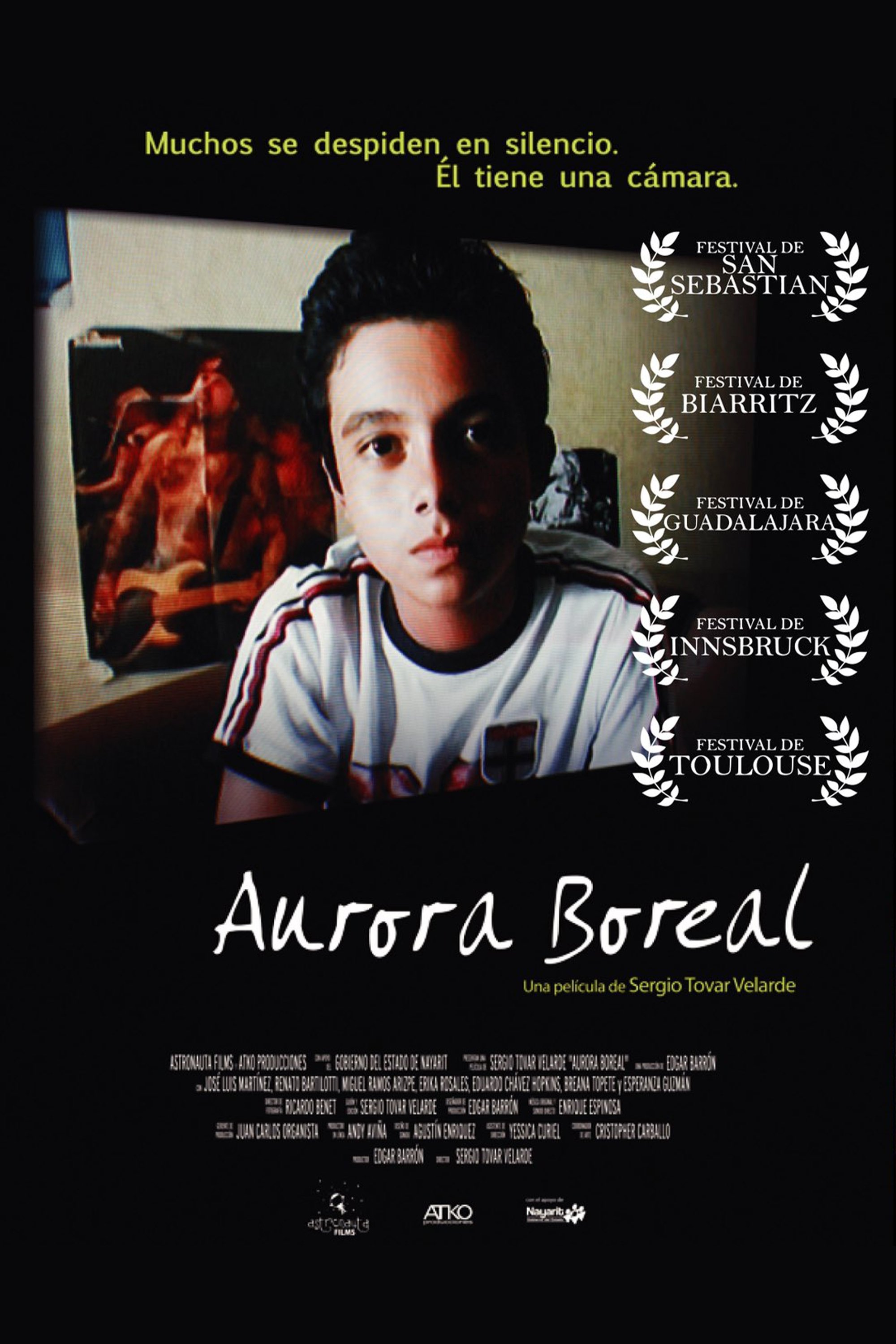 Aurora Boreal poster