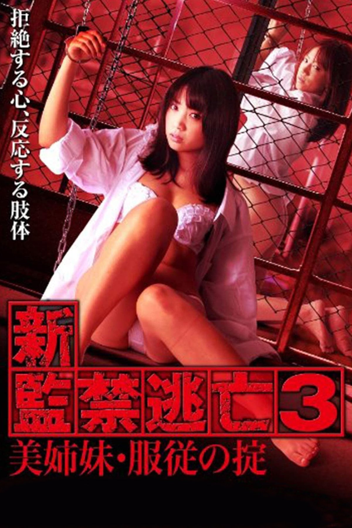 Escape Captivity 3: The Beautiful Sisters' Law of Submission poster