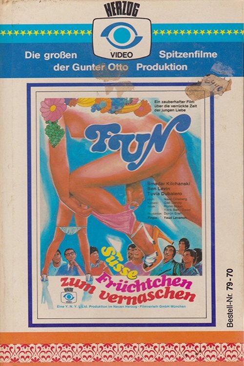 Fun Forever poster