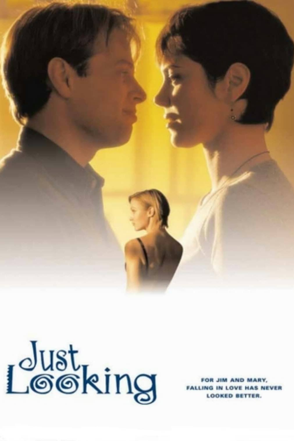 Just Looking poster