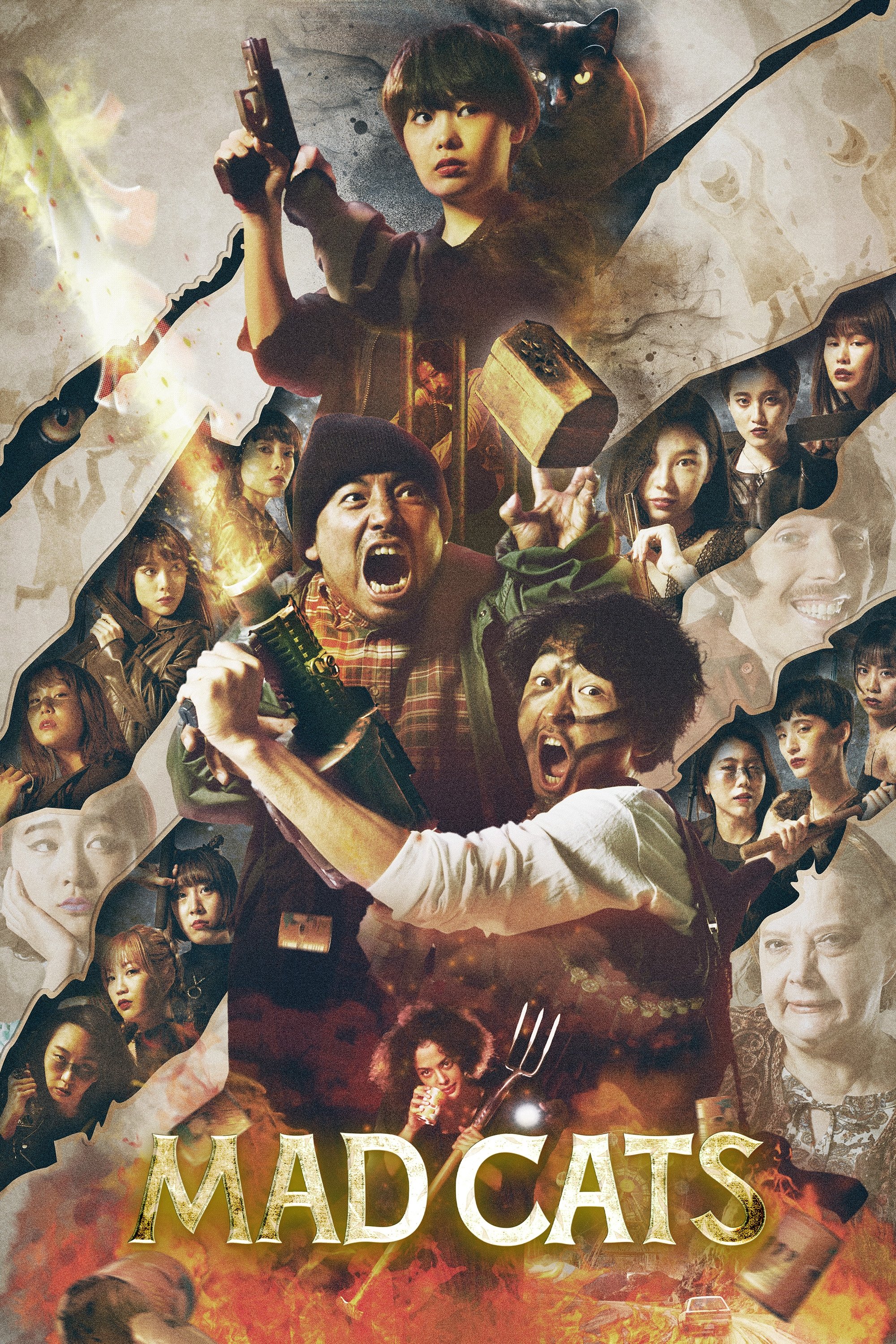 MAD CATS poster