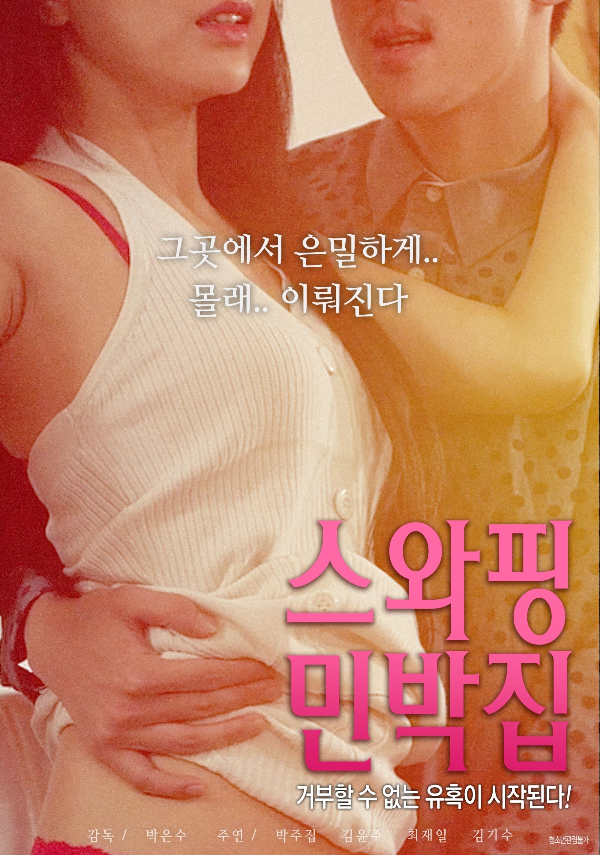Swapping Guest House poster