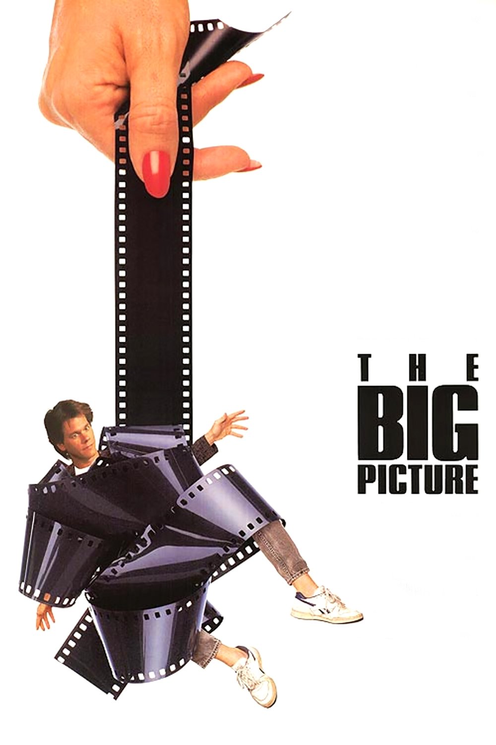 The Big Picture poster