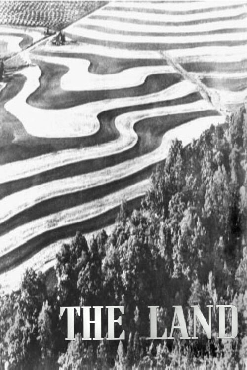 The Land poster