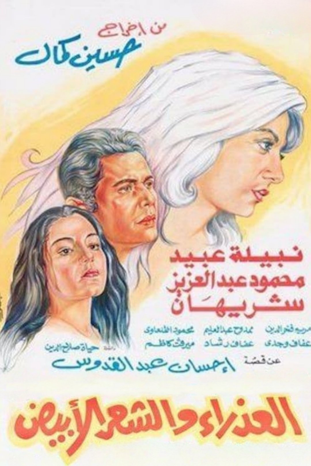 The Virgin and the Gray Hair poster